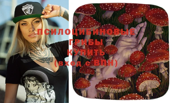 ешки Бронницы