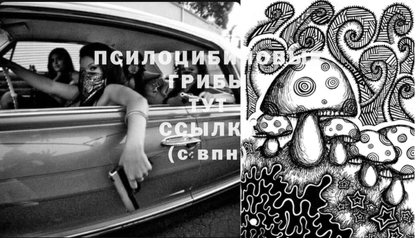 ешки Бронницы