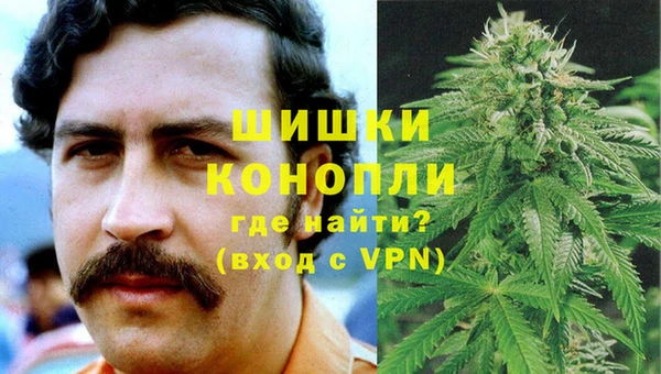 ешки Бронницы