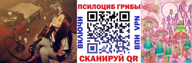 Галлюциногенные грибы Cubensis Ковдор
